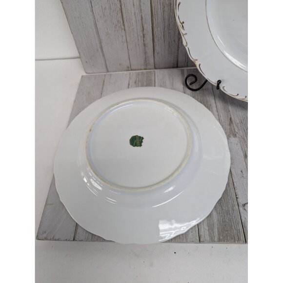 Vintage BOHEMIAN Fine China Set of 2 Dinner Plates Czechoslovakia BOH53 - Picture 3 of 6